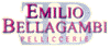 Company Sheet BELLAGAMBI EMILIO srl