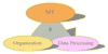 Company Sheet MT ORGANIZATION & DATA PROCESSING di ANTONINO GARGANO & C. sas
