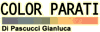 Company Sheet COLOR PARATI di PASCUCCI GIANLUCA