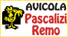 Scheda Azienda PASCALIZI REMO PASCALIZI srl