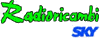 Company Sheet RADIORICAMBI srl