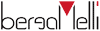 Scheda Azienda BERGAMELLI srl