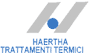 Company Sheet HAERTA TRATTAMENTI TERMICI srl