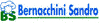 Company Sheet BERNACCHINI SANDRO
