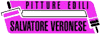 Scheda Azienda PITTORE SALVATORE VERONESE PITTURE EDILI