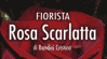 Scheda Azienda FIORISTA ROSA SCARLATTA di CRISTINA