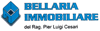 Scheda Azienda BELLARIA IMMOBILIARE del RAG. PIER LUIGI CESARI