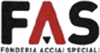 Company Sheet FAS - FONDERIA ACCIAI SPECIALI spa