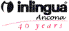 Scheda Azienda INLINGUA ANCONA srl