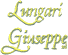 Company Sheet LUNGARI GIUSEPPE srl