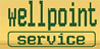 Company Sheet WELLPOINT SERVICE srl