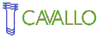 Scheda Azienda DIAGNOSTICA CAVALLO srl LABORATORIO DI ANALISI