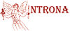 Company Sheet CERERIA INTRONA srl