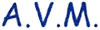 Company Sheet A.V.M. di PANZERI ALBERTO & C. sas