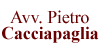 Scheda Azienda CACCIAPAGLIA AVV. PIETRO