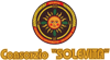 Company Sheet SOCIETA' CONSORTILE CONSORZIO SOLEVITA srl