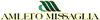 Scheda Azienda AMLETO MISSAGLIA