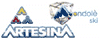 Scheda Azienda ARTESINA spa