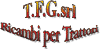 Ficha Empresa T.F.G. srl