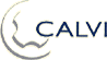 Company Sheet CALVI spa