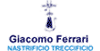 Scheda Azienda NASTRIFICIO FERRARI GIACOMO srl