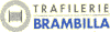 Scheda Azienda TRAFILERIE BRAMBILLA spa