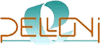 Scheda Azienda PELLONI srl