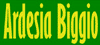 Scheda Azienda ARDESIA BIGGIO srl