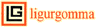 Scheda Azienda LIGURGOMMA srl