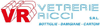 Company Sheet VETRERIE RICCI srl