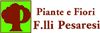 Scheda Azienda PESARESI F.LLI VIVAIO