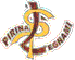 Scheda Azienda PIRINA LEGNAMI srl