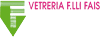 Company Sheet VETRERIA FRATELLI FAIS