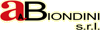 Company Sheet AA. BIONDINI