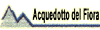 Company Sheet ACQUEDOTTO DEL FIORA - GESTORE UNICO ATO N. 6 OMBRONE ACQUEDOTTO DEL FIORA spa