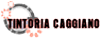 Company Sheet TINTORIA CAGGIANO DONATA