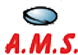 Scheda Azienda A.M.S. snc