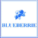 Scheda Azienda BLUEBERRIE di CLAUDIO MARINETTI