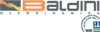 Scheda Azienda BALDINI srl