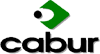 Company Sheet CABUR