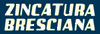 Scheda Azienda ZINCATURA BRESCIANA srl