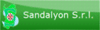 Company Sheet SANDALYON - SERVIZI INTEGRATI srl