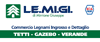 Scheda Azienda MIRRIONE GIUSEPPE LEMIGI