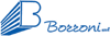 Scheda Azienda BORRONI srl