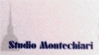 Scheda Azienda STUDIO MONTECHIARI di MONTECHIARI ANNA & C. sas