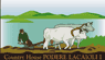 Scheda Azienda COUNTRY HOUSE PODERE LACAIOLI
