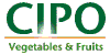 CIPO snc - COMMERCIO E INGROSSO FRUTTA VERDURA, ORTAGGI, FRESCHI E CONSERVATI