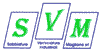 SVM srl