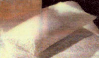 Logo di MAGGIFLEX