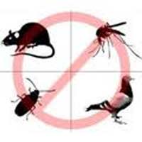 Logo di INFEST CONTROL srl